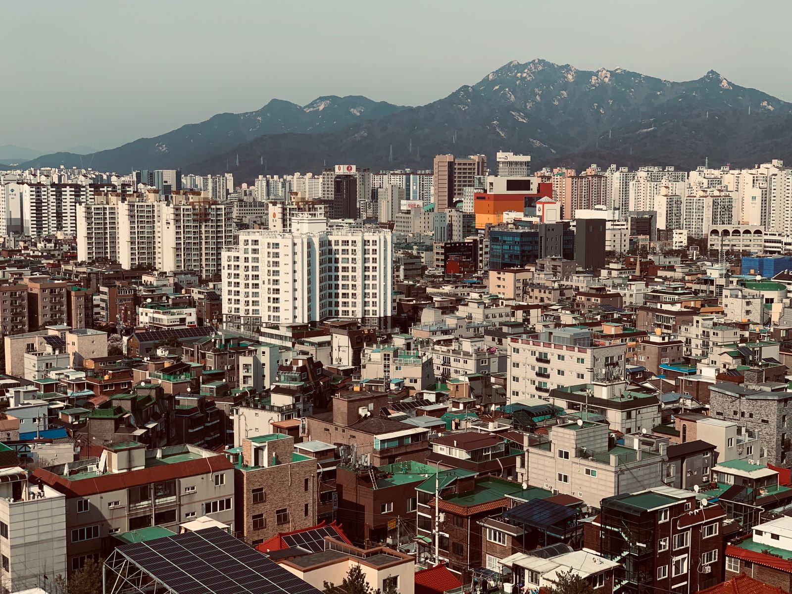 출장마사지 1